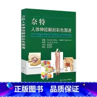 [正版]奈特人体神经解剖彩色图谱