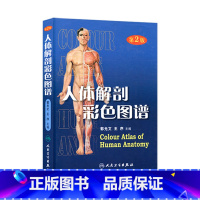[正版]人体解剖彩色图谱(第2版)郭光文编 全国卫生资格考试用书医疗卫生医师医学书籍 解剖图谱