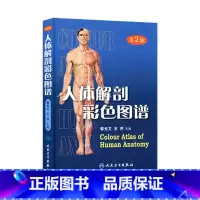 [正版]人体解剖彩色图谱(第2版)郭光文编 全国卫生资格考试用书医疗卫生医师医学书籍 解剖图谱