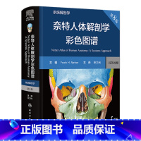 奈特人体解剖学彩色图谱:系统解剖学 [正版]奈特人体解剖学彩色图谱系统解剖学第8版神经肌肉骨骼生理学基础肌动学图鉴列车格