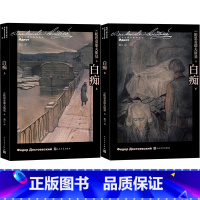 白痴(全二册) [正版]白痴上下全二册陀思妥耶夫斯基选集经典世界名著