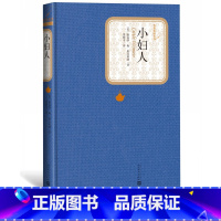 [正版]鲁豫朗读小妇人路易莎著贾辉丰译精装名著名译系列丛书第三辑附赠有声读物世界名著书人民文学出版社