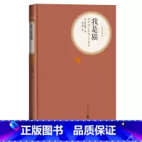 [正版]我是猫名著名译丛书夏目漱石日本文学世界名著长篇小说