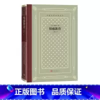 [正版]情感教育外国文学名著丛书福楼拜著王文融法国文学世界名著网格本