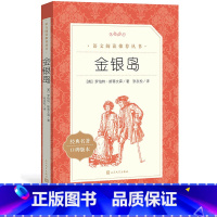 [正版]金银岛英罗伯特·斯蒂文森著五年级分级阅读书目 语文阅读丛书中小学语文人民文学出版社