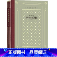 [正版]少年维特的烦恼歌德杨武能译精装网格本德国文学书信体小说近代小说世界名著文学经典