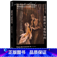 [正版]被欺凌与被侮辱的陀思妥耶夫斯基著南江译诞生二百周年代表作小人物