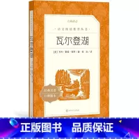 [正版]瓦尔登湖亨利戴维梭罗徐迟译八年级语文阅读丛书中小学语文初中部分人民文学出版社