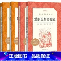 [正版]六年级下册全套鲁滨逊漂流记汤姆索亚历险记尼尔斯骑鹅旅行记爱丽丝梦游仙境小学生