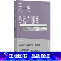 [正版]追随三部曲:天使坠落在哪里 路内著 一代人的精神飞地 90年代笑忘书 华语文学传媒年度小说家 亚马逊亚洲文学第