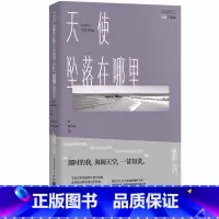 [正版]追随三部曲:天使坠落在哪里 路内著 一代人的精神飞地 90年代笑忘书 华语文学传媒年度小说家 亚马逊亚洲文学第