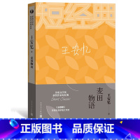 [正版]茅盾文学奖获奖作家短经典 麦田物语 王安忆著短篇小说集篇篇经典看着不累