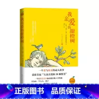 [正版]我亲爱的甜橙树若泽·毛罗·斯康塞洛斯蔚玲巴西长篇小说亲子阅读儿童小说