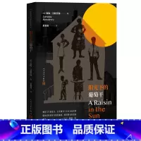 [正版]阳光下的葡萄干美洛琳·汉斯贝瑞美国戏剧非洲裔美国剧作家马丁•路德•金反种族歧视译者吴世良英达导演同名话剧