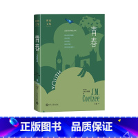 [正版]青春J.M.库切[南非]诺奖青春库切自传体小说人民文学