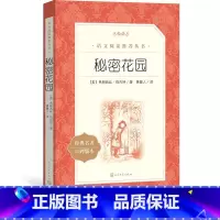[正版]秘密花园弗朗西丝伯内特著六年级分级阅读书目 语文阅读丛书小学部分中小学人民文学出版社