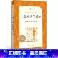 [正版]少年维特的烦恼德歌德著杨武能译八年级语文阅读丛书中小学语文初中部分人民文学出版社