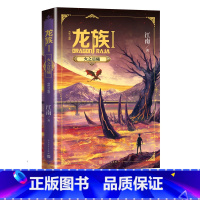 [正版]龙族1火之晨曦修订版江南幻想玄幻幻想小说长篇魔幻小说新版修订版路明非卡塞尔学院此间的少年九州缥缈录