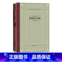 [正版]莱蒙托夫诗选外国文学名著丛书俄罗斯莱蒙托夫网格本余振顾蕴璞