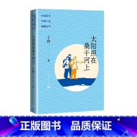 [正版]太阳照在桑干河上中国现代长篇小说典藏丁玲所作长篇典藏红色经典曾荣获1951年度斯大林文学奖金二等奖