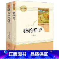 [七年级下册]骆驼祥子+海底两万里 [正版]2024海底两万里骆驼祥子完整版七年级下原著无删减人民教育出版老舍初中版骆驼