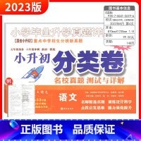 小升初分类卷[语文] 小学升初中 [正版]2023版小升初名校真题分类卷语文数学英语分类卷百校联盟小学毕业升学真题详解卷
