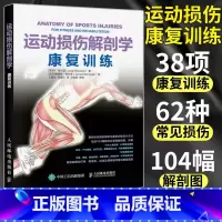 运动损伤解剖学+运动损伤管理 [正版]运动损伤解剖学 运动康复训练书籍 运动解剖学康复训练图谱手法治疗运动系统损伤修复预