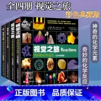 [正版]全套4册出版社视觉之旅奇妙的化学反应 / 神奇的化学元素/ 化学世界的分子奥秘 / 神奇的化学元素2 儿童趣味
