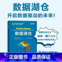 数据湖仓 大数据管理数据仓库数据湖湖仓一体建设数据湖架构数据网格计算机数据分析书籍 [正版]数据湖仓 大数据管理数据仓库