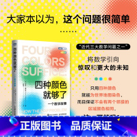 [正版]四种颜色*够了:一个数学故事 四色定理 数学科普书籍 数学之美