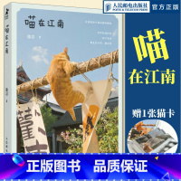 喵在江南 [正版]出版社喵在江南 徐岩猫咪摄影集写真随笔可爱宠物街猫拍摄照片相册萌趣猫猫照片喵星人摄影画册创意礼物