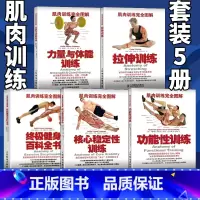 [正版]健身训练书肌肉训练完全图解5本 拉伸训练核心稳定性功能性训练力量与体能训练健身百科全书 运动损伤修复无器械健身