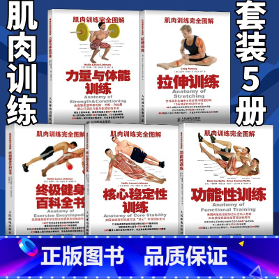 [正版]健身训练书肌肉训练完全图解5本 拉伸训练核心稳定性功能性训练力量与体能训练健身百科全书 运动损伤修复无器械健身