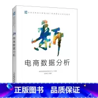[正版]新电商数据分析 电商应用大全数据分析店铺运营客户数据分析财务