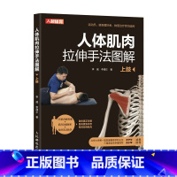 [正版]人体肌肉拉伸手法图解上肢改善运动功能障碍的物理拉伸手法拉伸技术 健身物理治疗康复师肌肉3D解剖图功能解析拉伸手