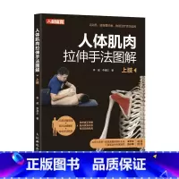 [正版]人体肌肉拉伸手法图解上肢改善运动功能障碍的物理拉伸手法拉伸技术 健身物理治疗康复师肌肉3D解剖图功能解析拉伸手