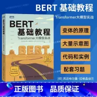[正版]出版社BERT基础教程 Transformer大模型实战 自然语言处理模式实战 chatgpt人工智能机器人学