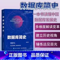 数据库简史 [正版]2024重磅新作出版社数据库简史 盖国强著 大模型大数据互联网云计算Oracle国产数据库 9787