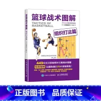 [正版]篮球战术图解 组织打法篇 NBA CBA篮球基础 赛场示意图图解 篮球基础与战术 看图学打篮球 指导篮球队