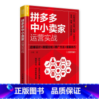 [正版]中小卖家运营实战:店铺设计+数据分析+推广方法+客服技巧 电商运营书籍运营入门市场营销转化率