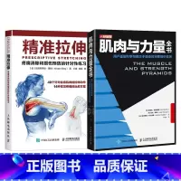 [正版]精准拉伸 肌肉与力量全书 运动力量训练学基础计划书籍手册 硬派徒手健身 学会拉伸