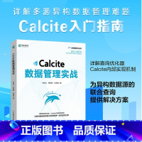 [正版]Calcite数据管理实战 SQL数据库原理及应用教程 大数据技术原理及应用系统基础 数据管理数据源挖掘动态数