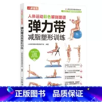 [正版]人体运动彩色解剖图谱弹力带减脂塑形训练 健身健美减脂训练书籍