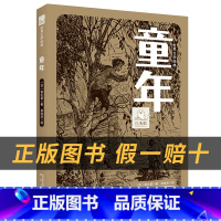 《童年》+彩印导读单 [正版]童年白海豹丛书高尔基著春风文艺出版社