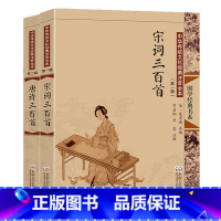 唐诗三百首+宋词三百首 [正版]尚雅国学经典书系 中华传统文化经典注音全本第二辑 唐诗三百首 诗经 论语 老子大学中庸