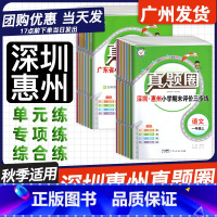 2本✅语文RJ+数学BS[深圳惠州适用] 一年级上 [正版]深圳惠州2024秋真题圈小学考试真卷三步练语文数学三四年级下