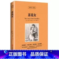 [正版] 双语名著 茶花女 读名著 学英语 中文版+英文版 中英文对照 双语读物 世界名著英语图书 经典文学小说 法国