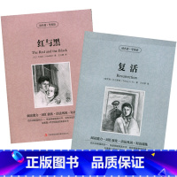 复活 红与黑 共2册 [正版] 双语名著 复活 红与黑 共2册 读名著 学英语 中文版+英文版 中英文对照 双语读物 世