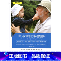 [正版] 双语读物 你是我的左半边翅膀 美丽英文 中文版+英文版 中英文对照 励志故事 世界名著英语图书 经典文学小说