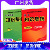 小学升初中 [正版]小学语文数学 知识集锦广东全2册快速提高成绩的得力助手小学生资料包工具书知识大全知识大集结3456年